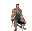 Lateral Raise - Cable Seated